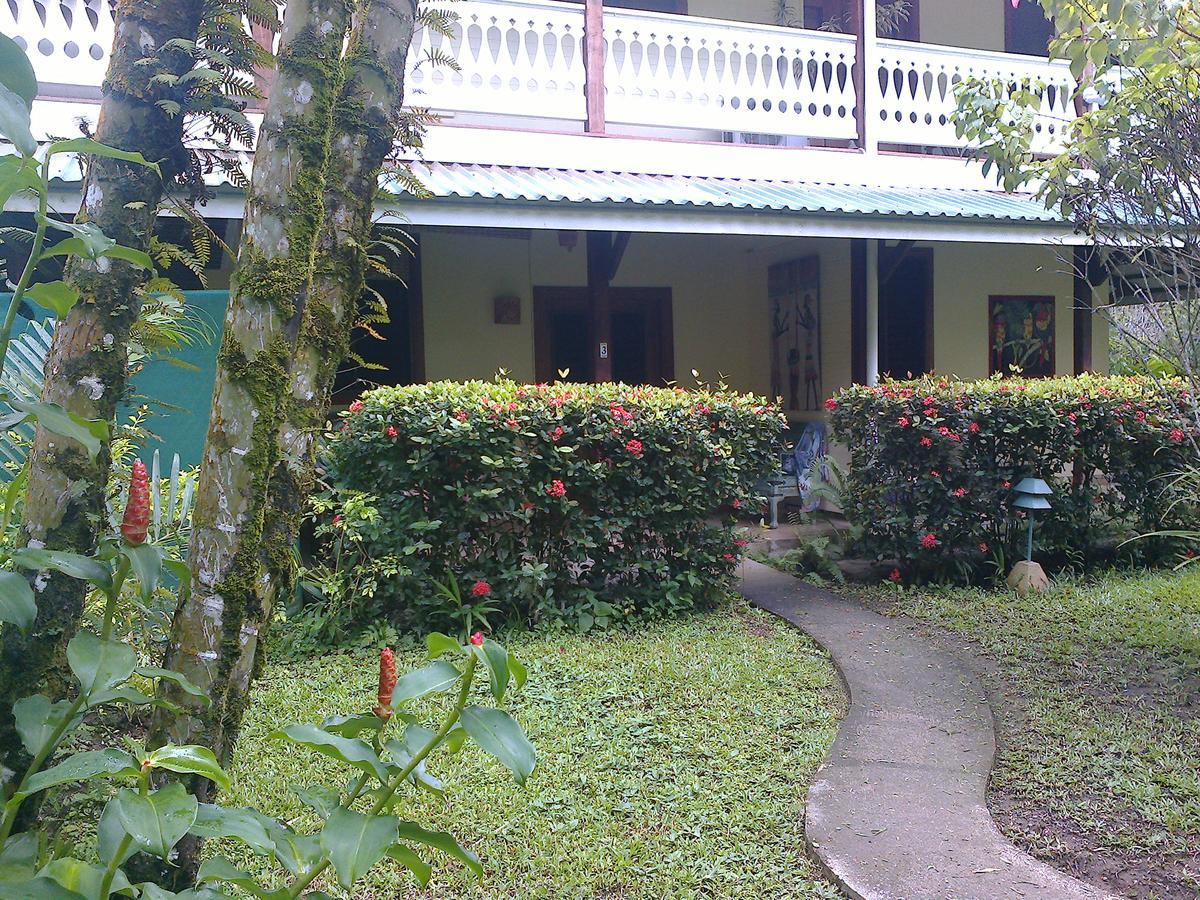 Playa Negra Guesthouse 까위따 외부 사진